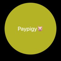 Paypigme