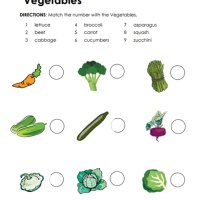 vegetable