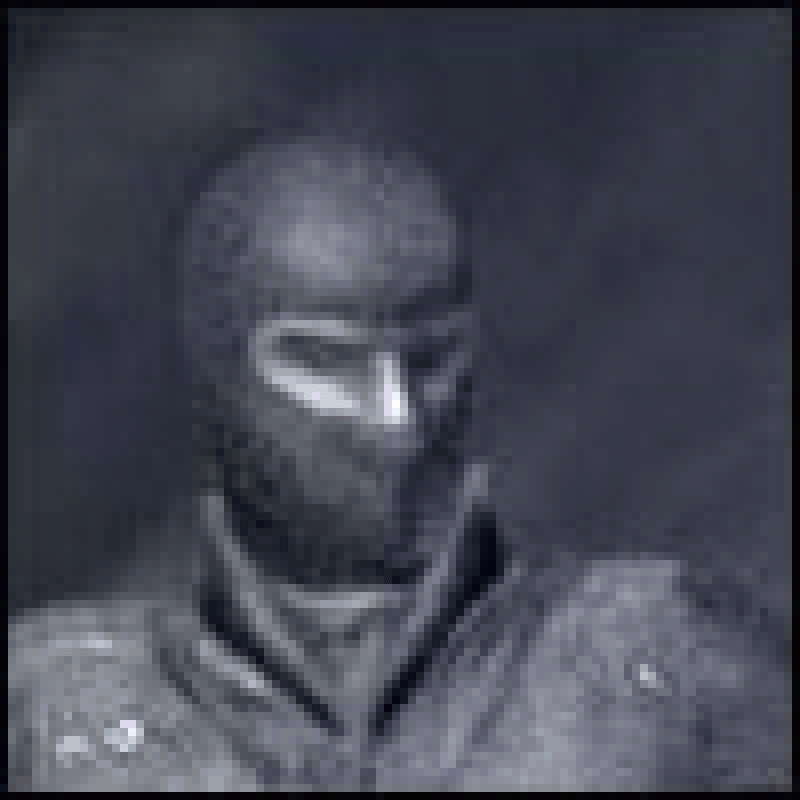 RobertWar