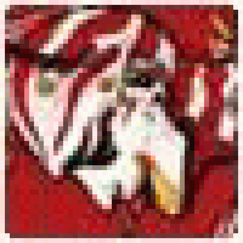 Geraldtheox