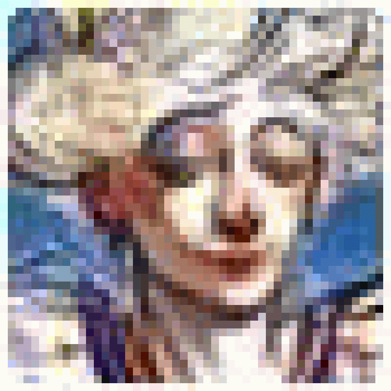 Ricardoshini